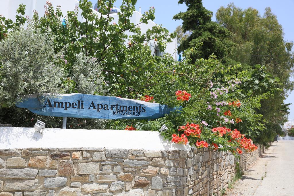 Ampeli Apartments Páros 외부 사진